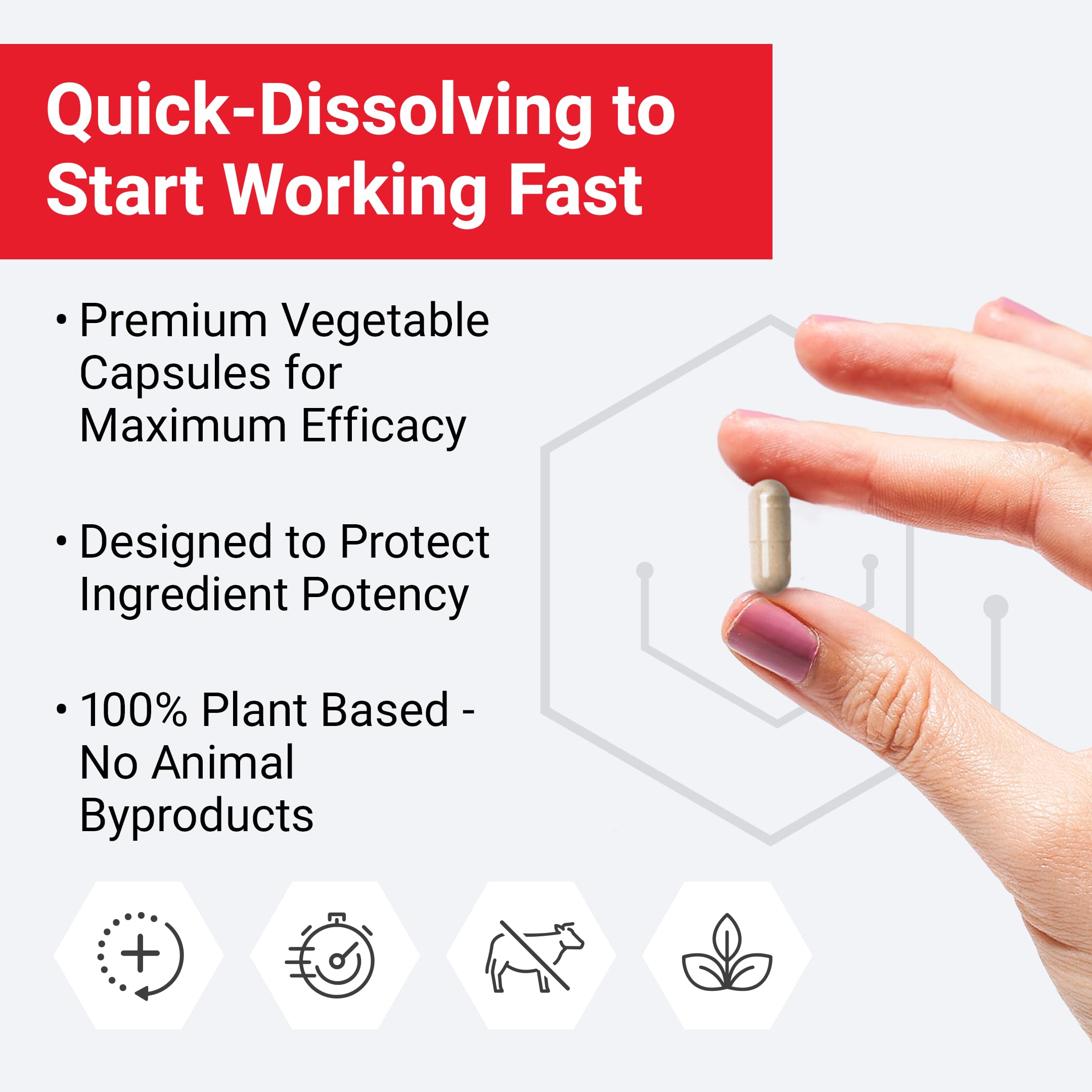 Graphic showing the seven key ingredients: NAD+, Resveratrol, Astaxanthin, Spermidine, Luteolin, Sulforaphane, Niacinamide