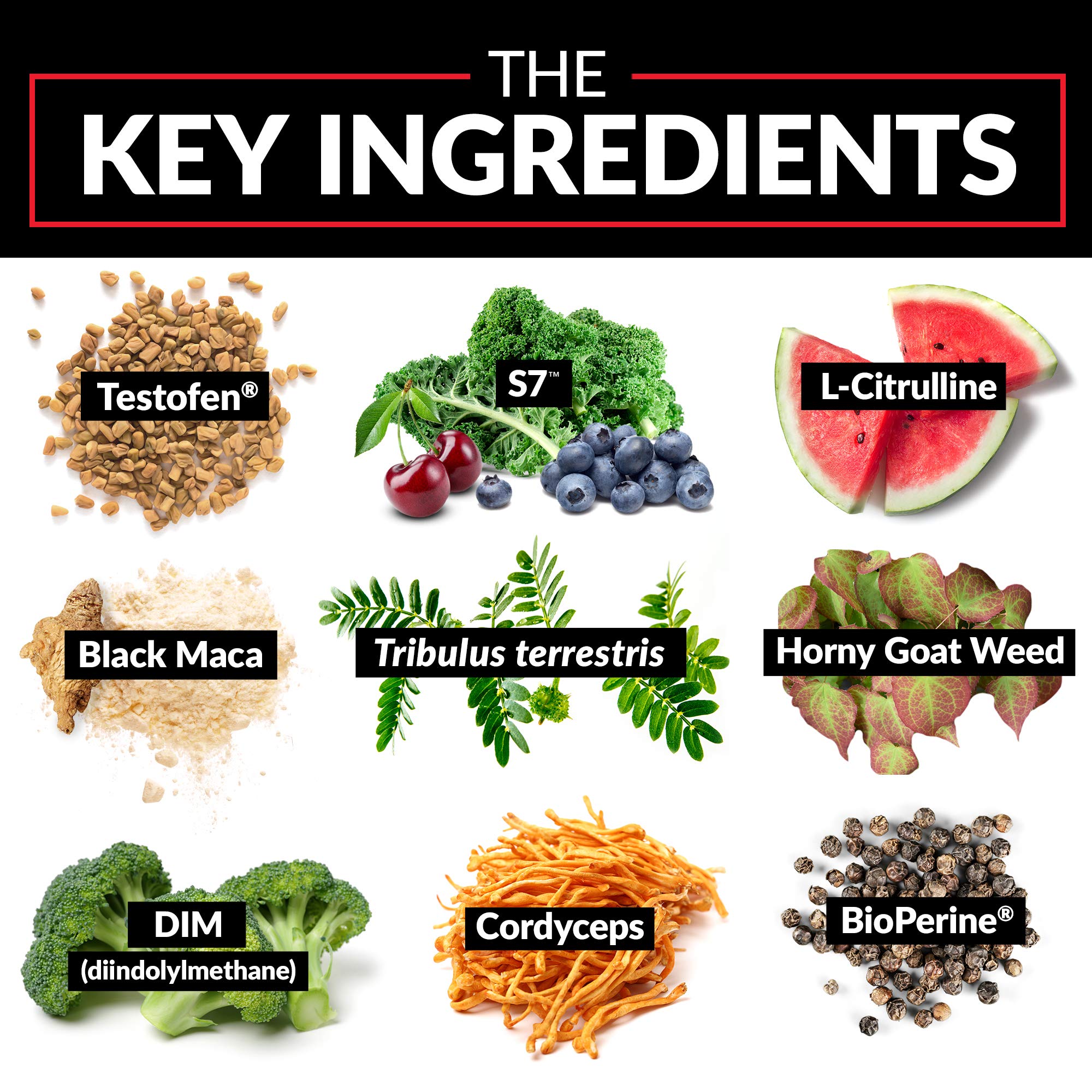 Force Factor Test X180 Alpha Max label reveals fenugreek, tribulus, and other key ingredients.