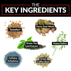 Force Factor Test X180 Ignite bottle back reveals ingredients and daily dosage guidance.