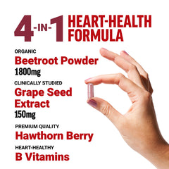 Total Beets 1800mg organic beet root powder ingredient detail