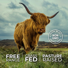 Serving scoop showing 600mg per organ blend and 3000mg total per serving