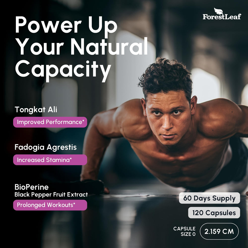 ForestLeaf Performance and Energy visuals suggest sustained endurance during training.