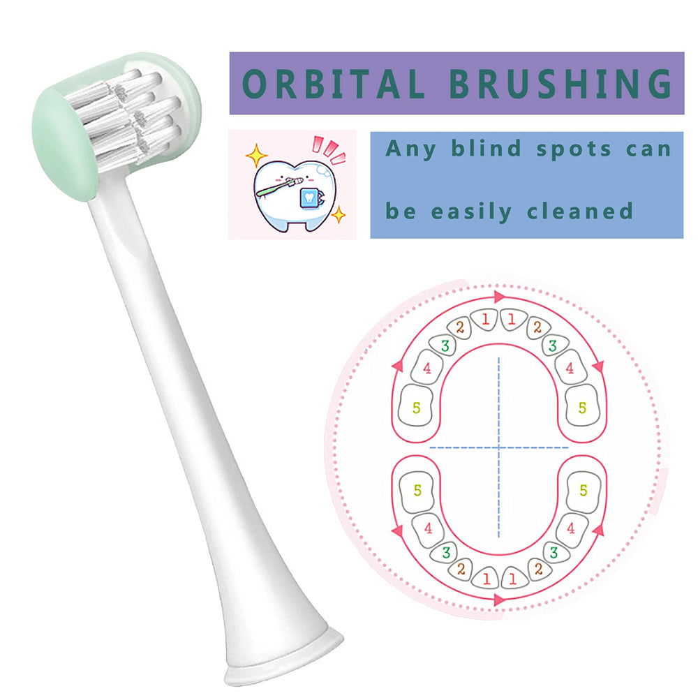 Gentle bristles soften in warm water for sensitive gums