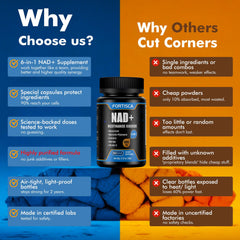 Fortisca NAD+ ingredients panel showing NRH, Quercetin Phytosome, Resveratrol