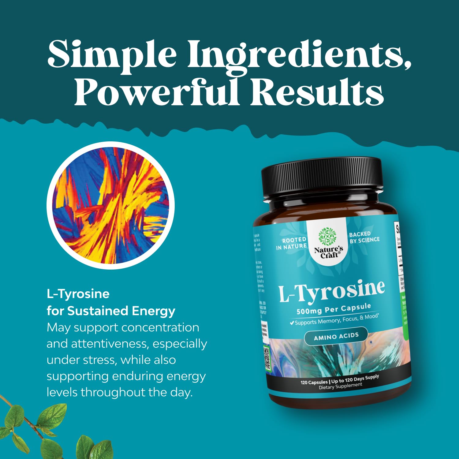 Supplement facts panel on bottle label