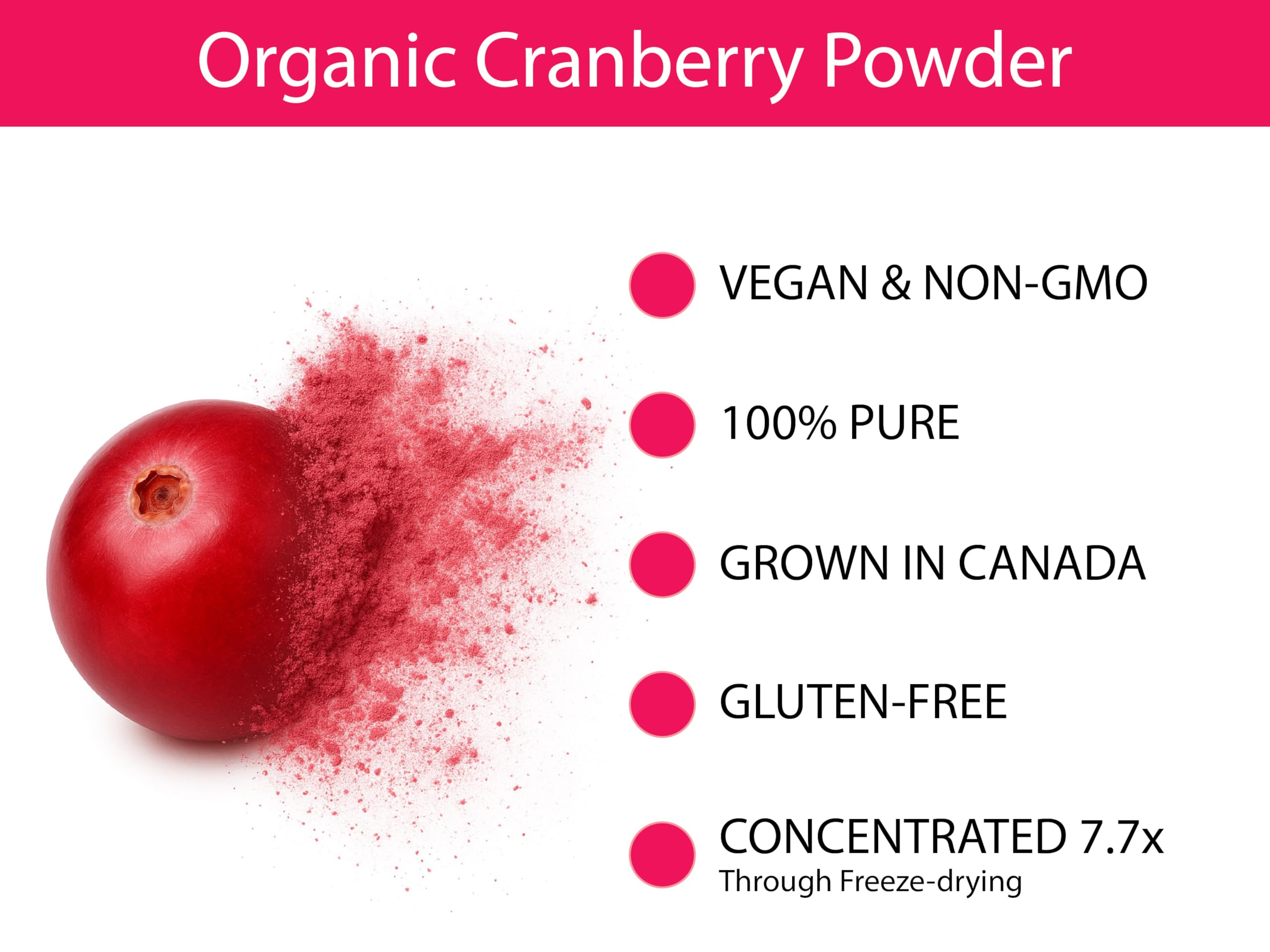 Freeze-dried cranberries ready to be powdered