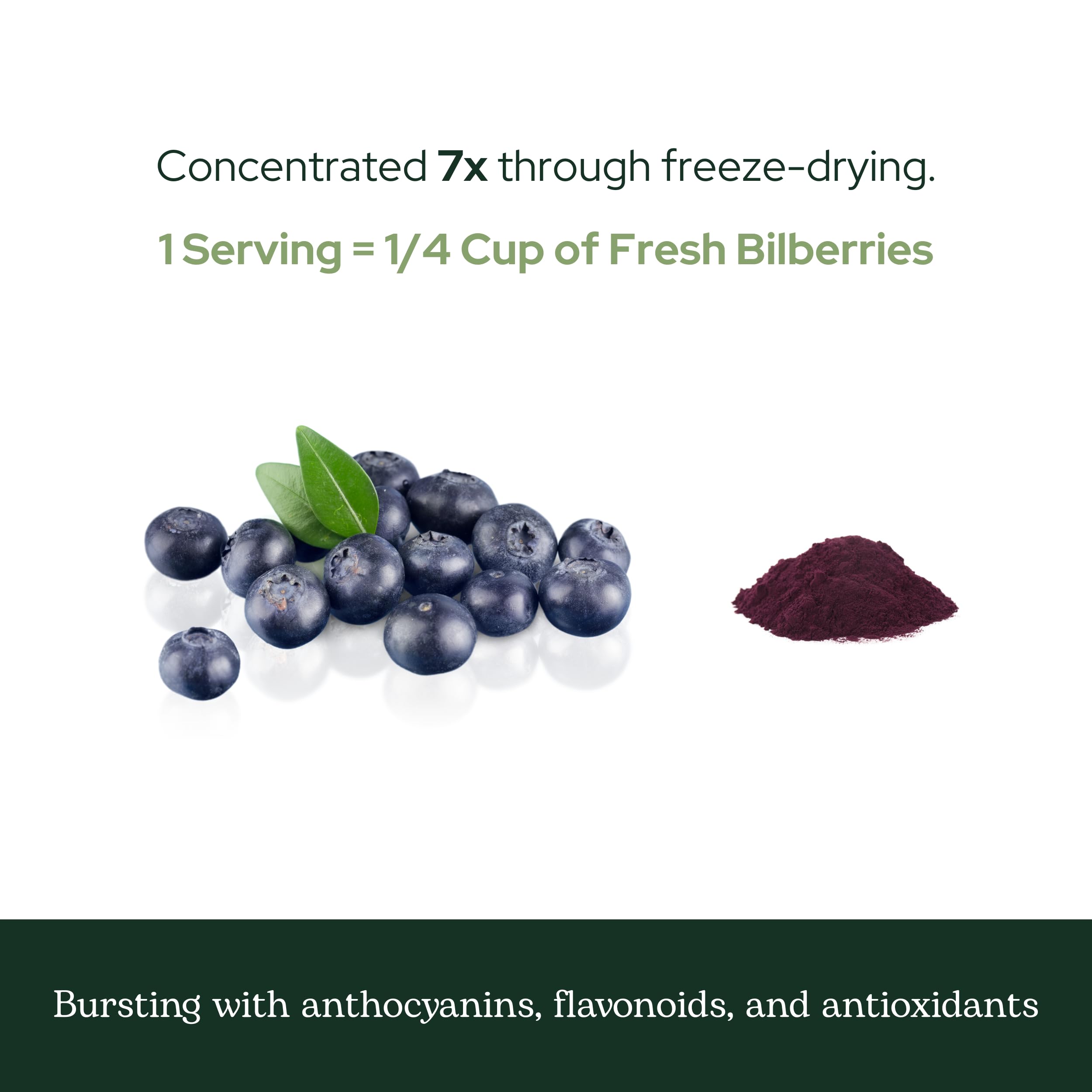 Freeze-drying process for bilberries