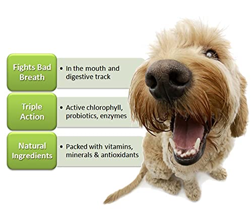 Close-up of Fresh Breath TABS chewable tablets