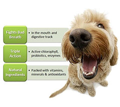 Close-up of Fresh Breath TABS chewable tablets