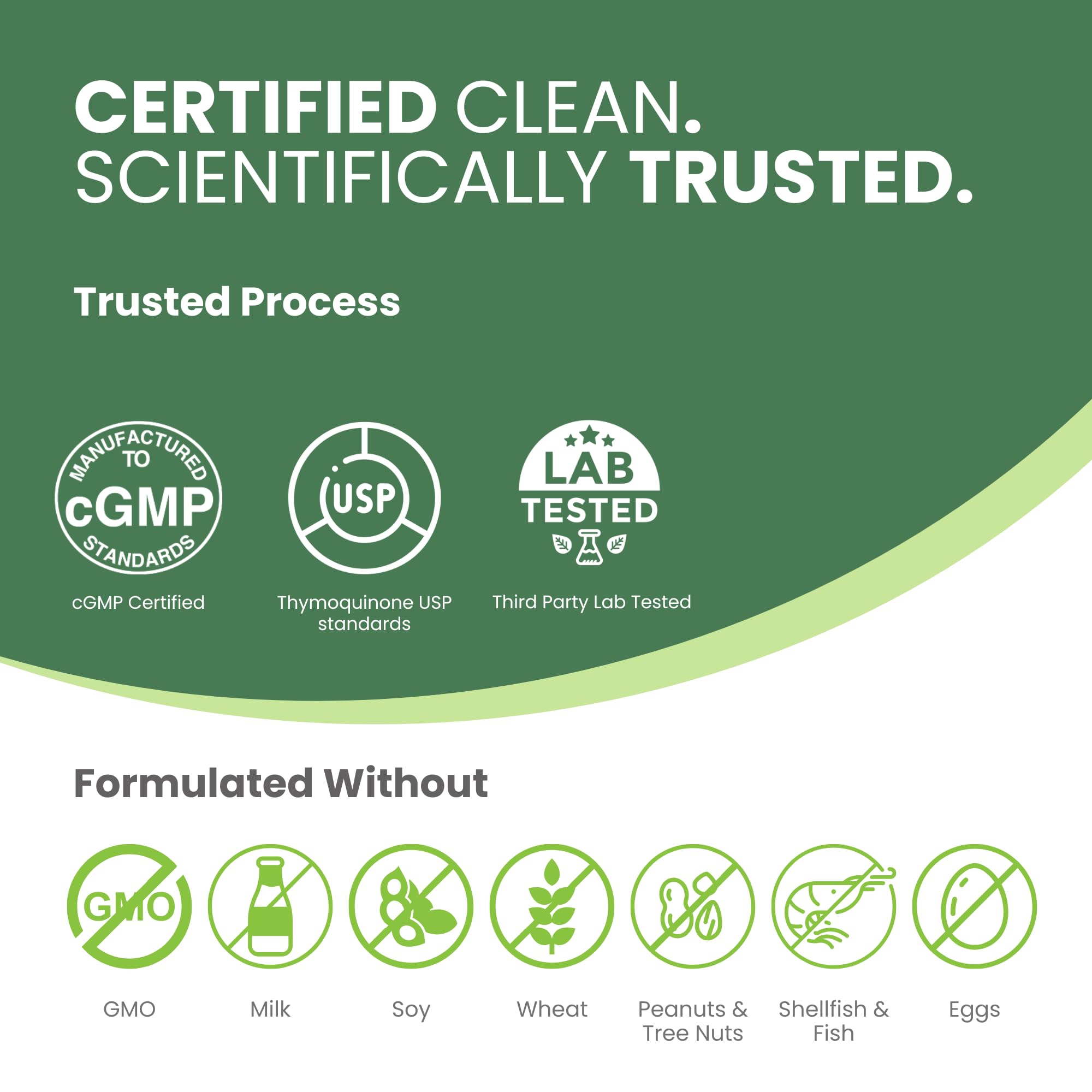 Freshly harvested black seed oil seeds for cold-pressing