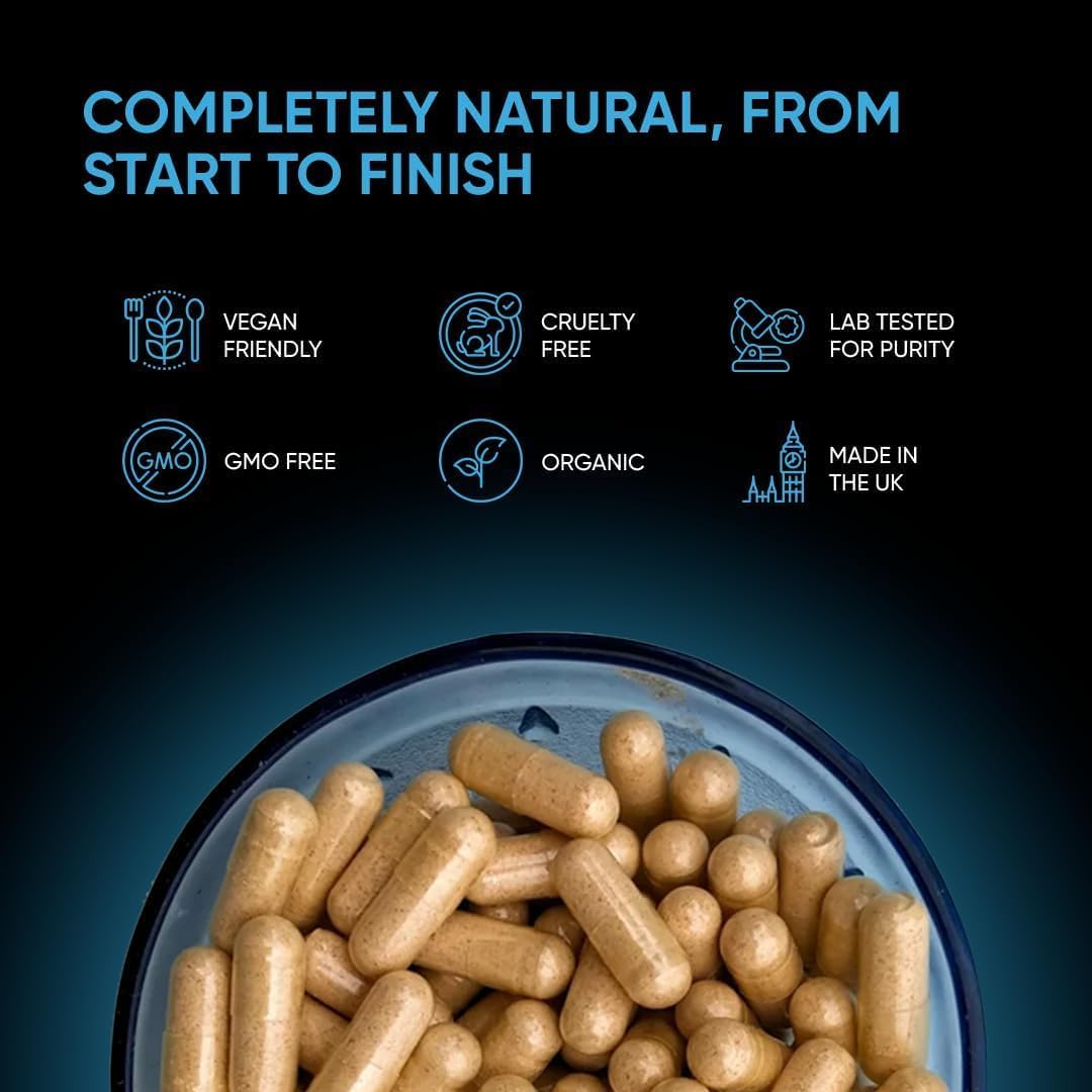 Plant-based ingredients overview for Bottom Fiber