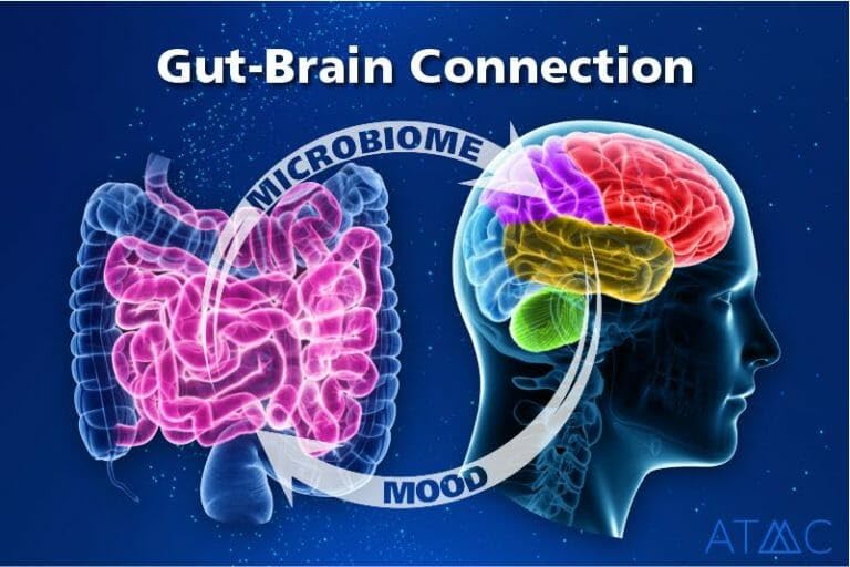 One-month supply of probiotic capsules
