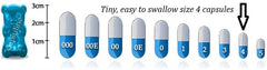 Illustration of digestive health support and regularity