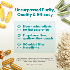 Graphic showing the five probiotic strains in Friendly Flora