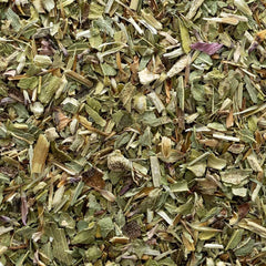 Preparing echinacea tea with Frontier Co-op herb in a wellness blend