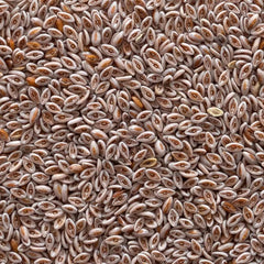Frontier Co-op Organic Whole Psyllium Seed 1lb bulk bag on display