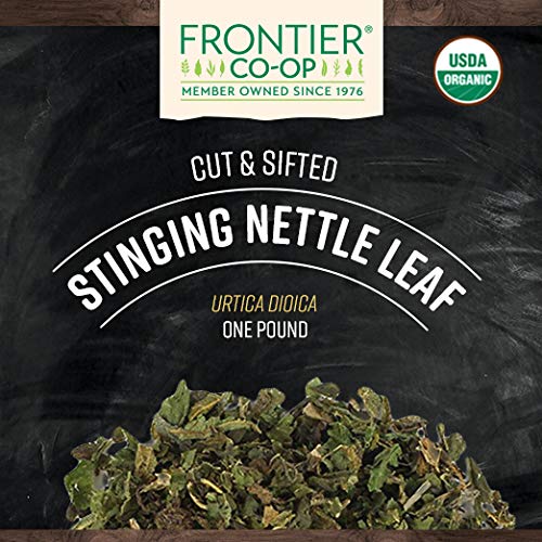 Dried cut and sifted stinging nettle leaf close-up