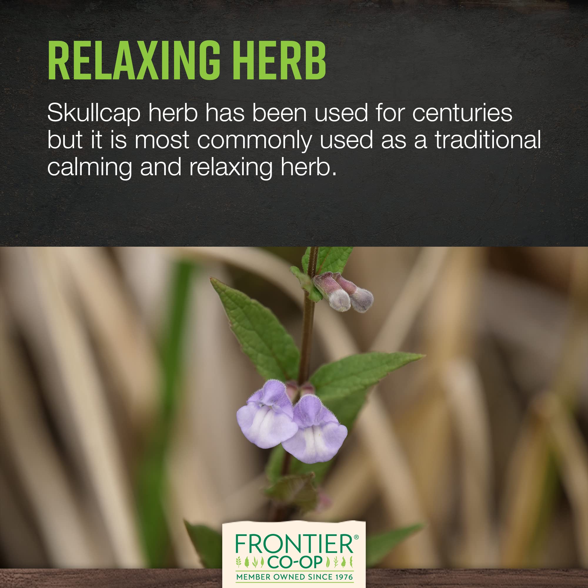 Skullcap herb for making DIY capsules and blends