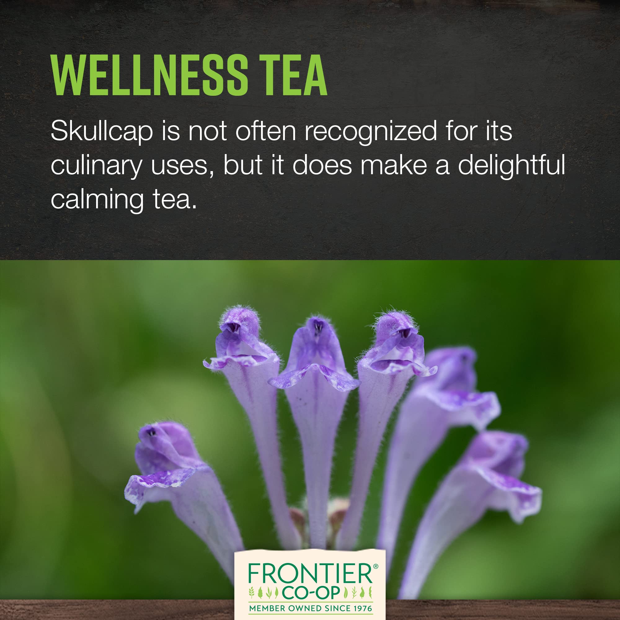 Skullcap herb for tea, tincture and DIY infusion