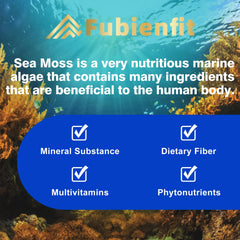 GMP-certified, third-party tested Fubienfit sea moss capsules