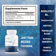 Fucoidan extraction process for high purity
