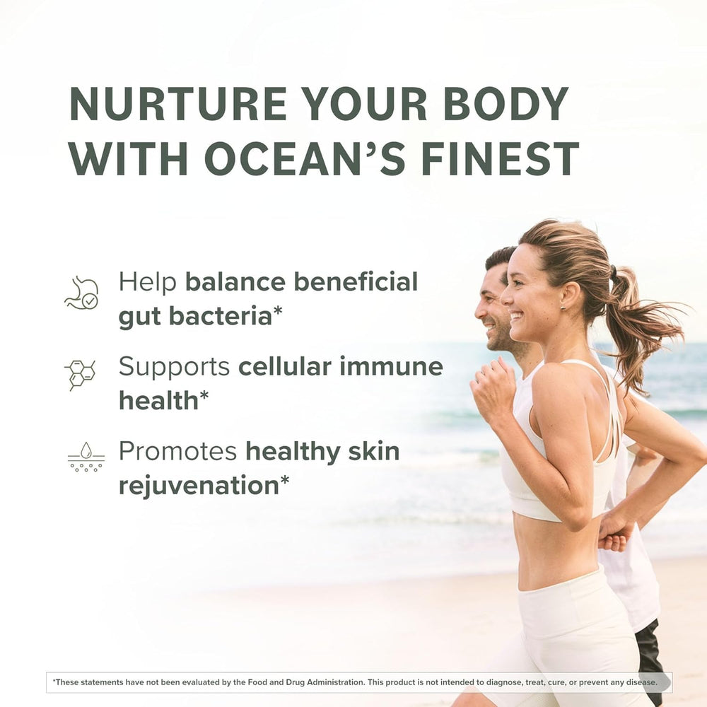Premium brown seaweed used to extract fucoidan