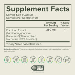Fucoidan capsules for gut health and immune support