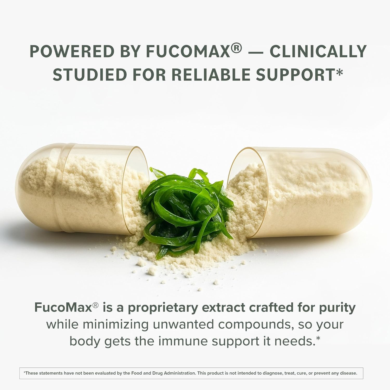 Vegan non-GMO fucoidan capsules