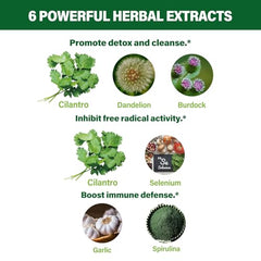 Illustration of cilantro, dandelion, burdock, garlic and spirulina on label