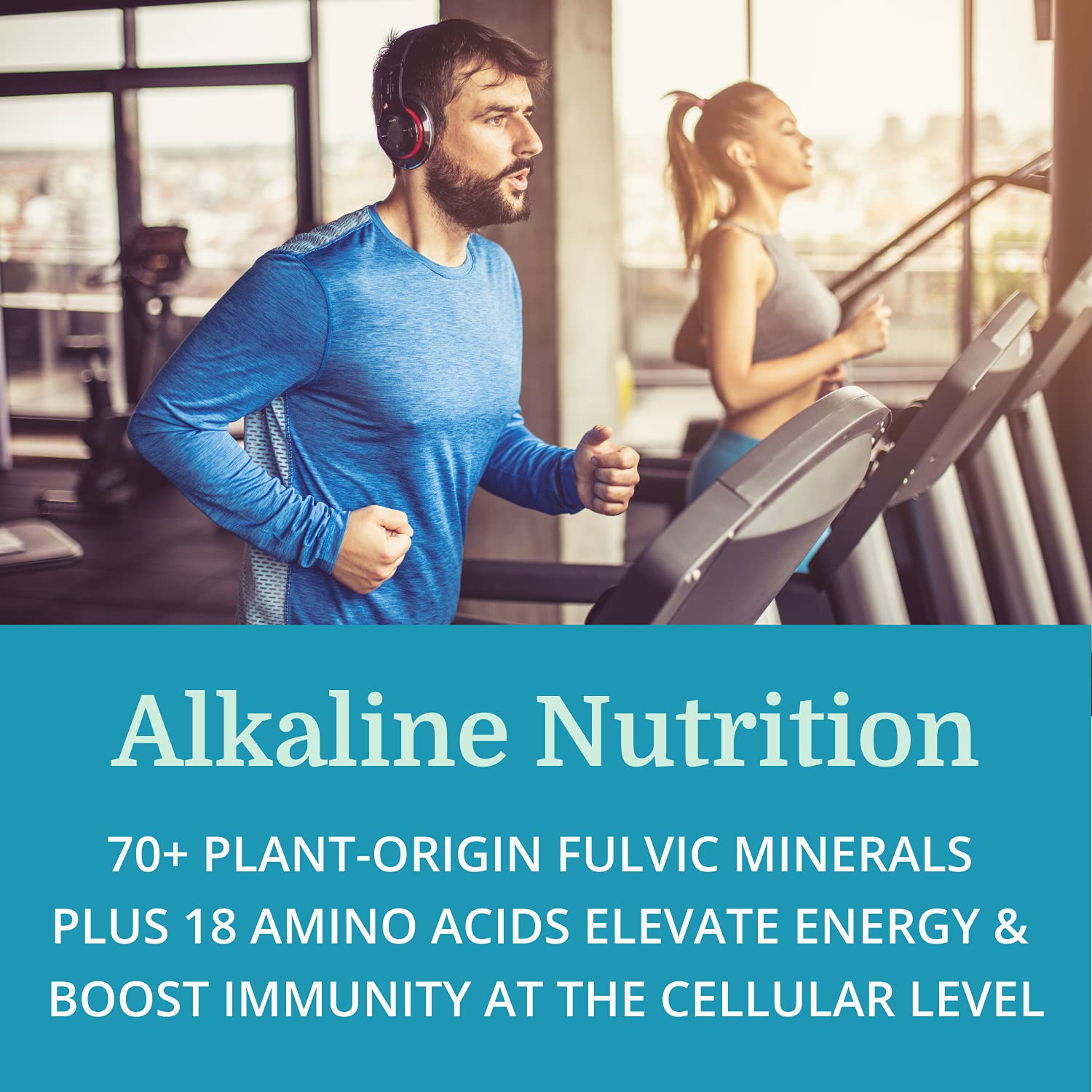 Fulvic minerals and amino acids derived from organic plant sources