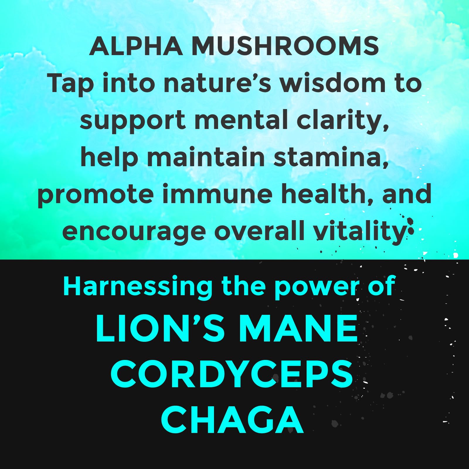 Functional mushroom blend with adaptogens to support cognition