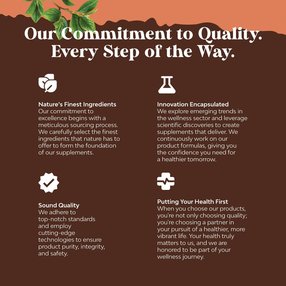 Assorted functional mushrooms Maitake, Shiitake, Chaga and Reishi