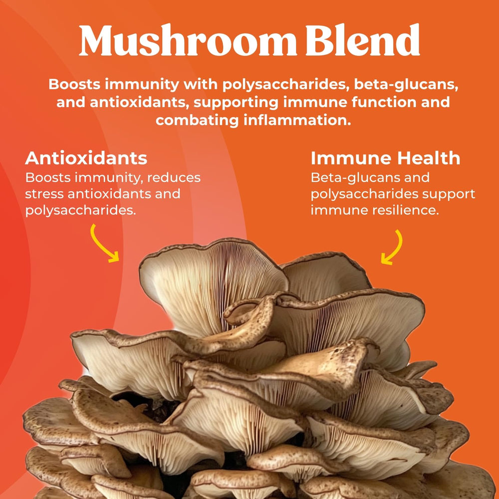 Close-up of mushroom blend ingredients including chaga, maitake, reishi, shiitake, and turkey tail