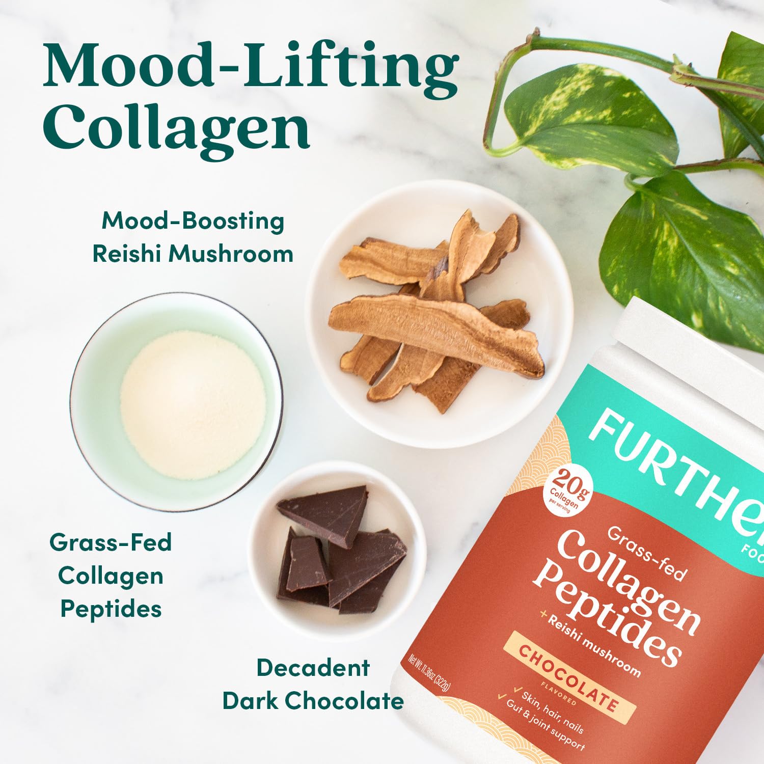 Ingredients list for Further Food Chocolate Collagen Powder
