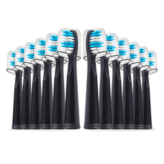 12-pack black Fairywill-compatible replacement toothbrush heads in sanitary packaging with dust cover