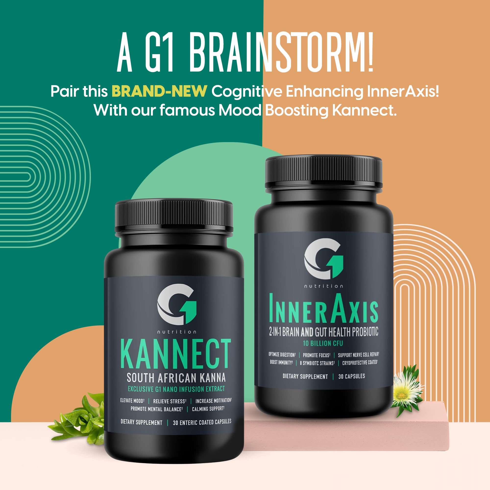 Illustration of brain-gut connection and mood support