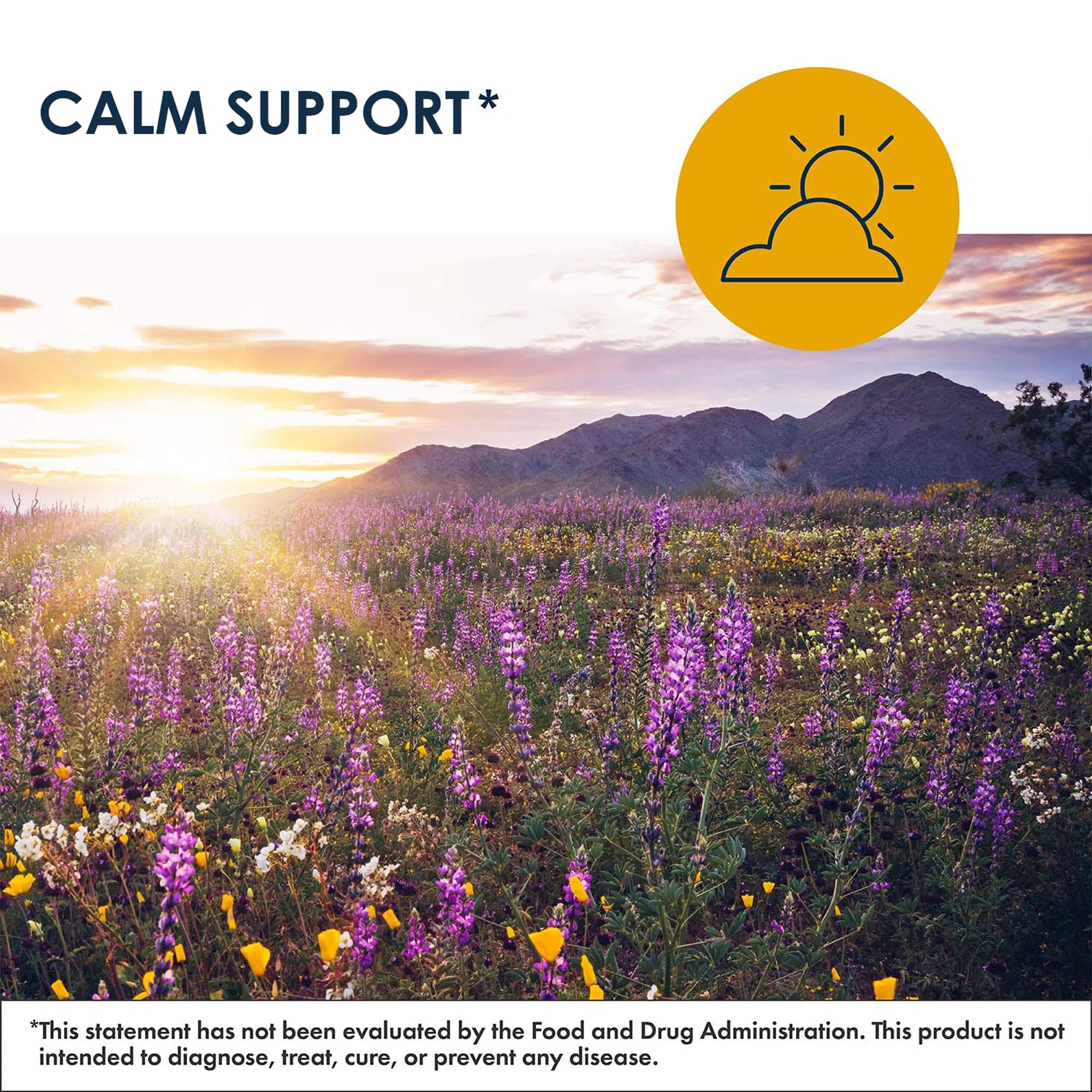 Illustration showing GABA supporting stress relief and brain health