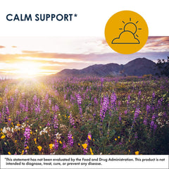 Illustration showing GABA supporting stress relief and brain health