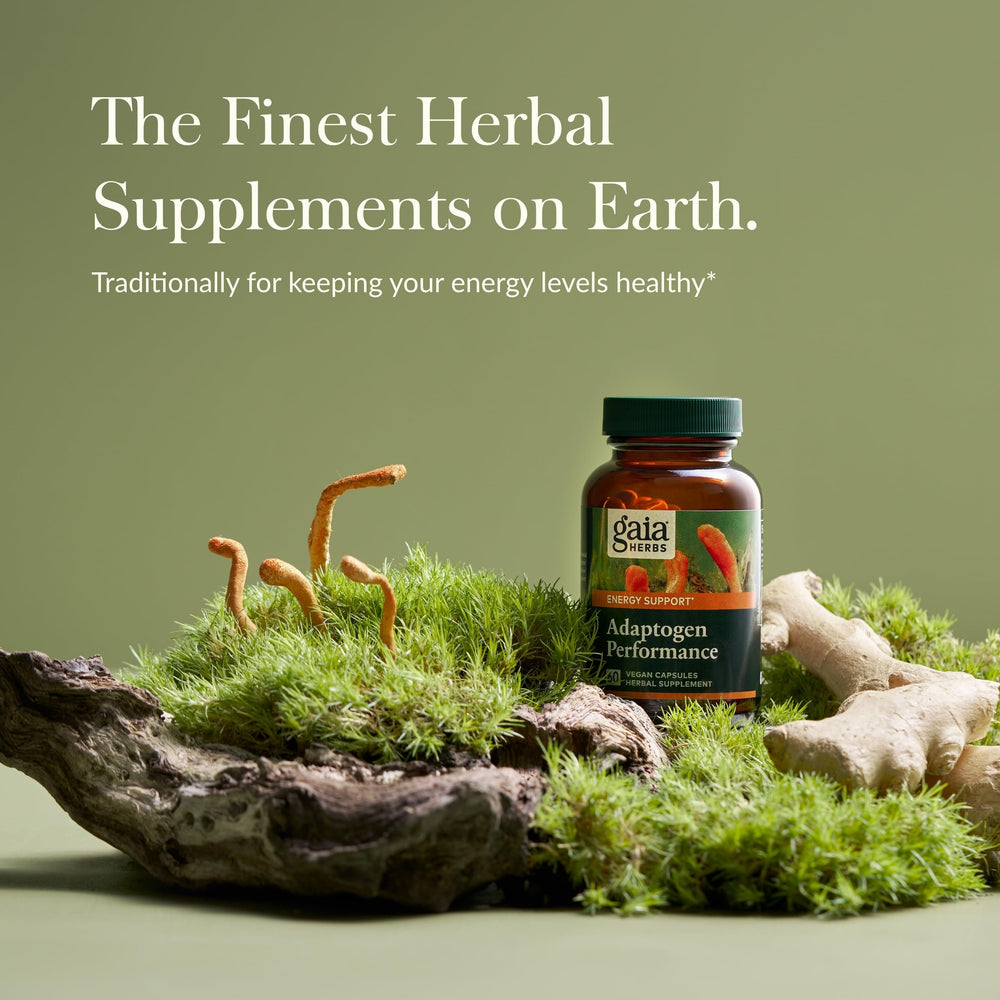 Close-up of organic cordyceps and ashwagandha root