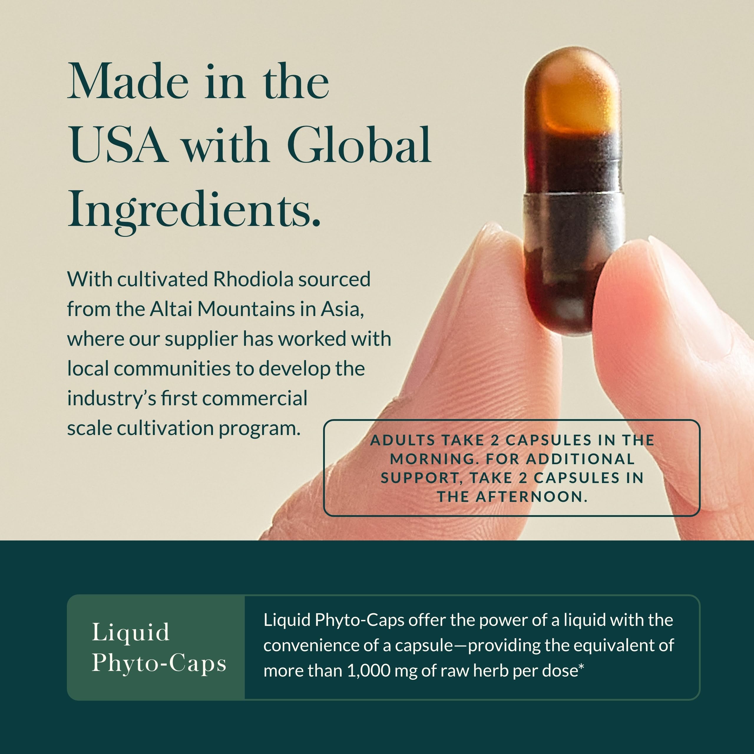 Adaptogenic blend for healthy stress support