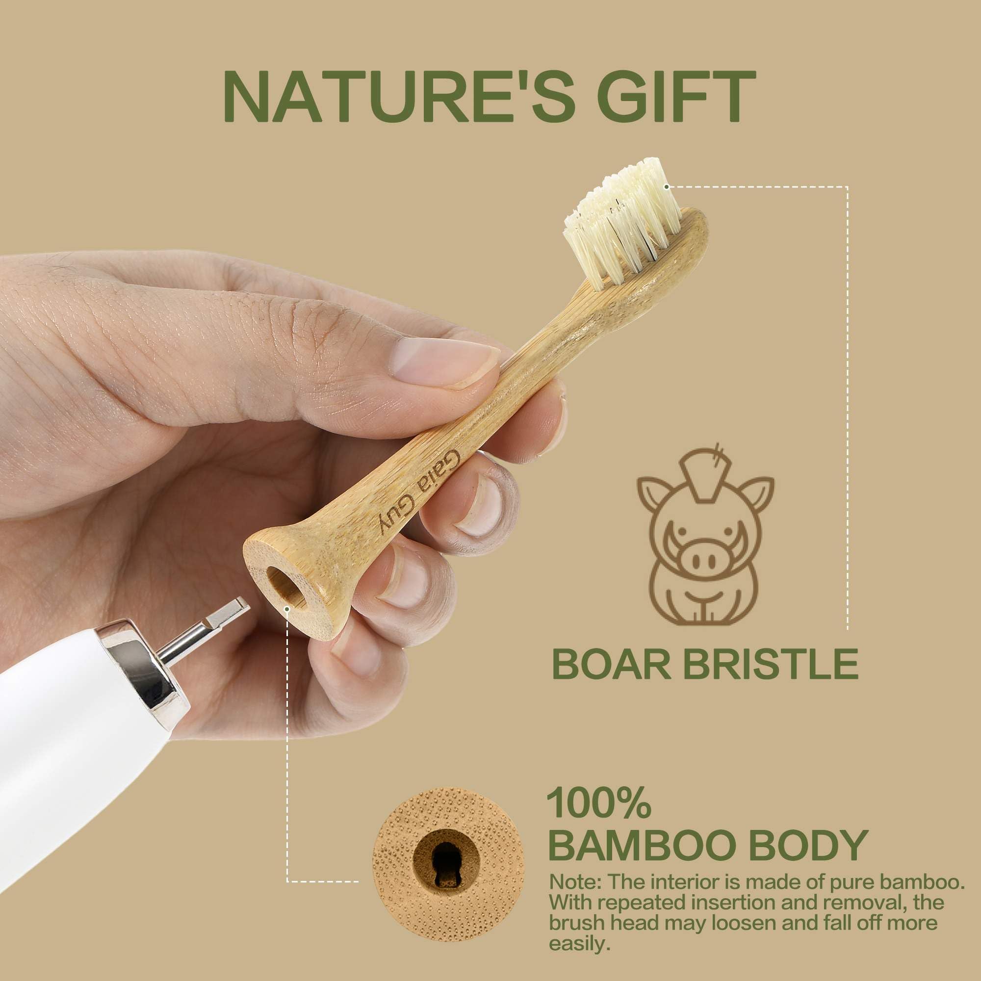 Gaia Guy 4-Pack – water-based sealant bamboo finish
