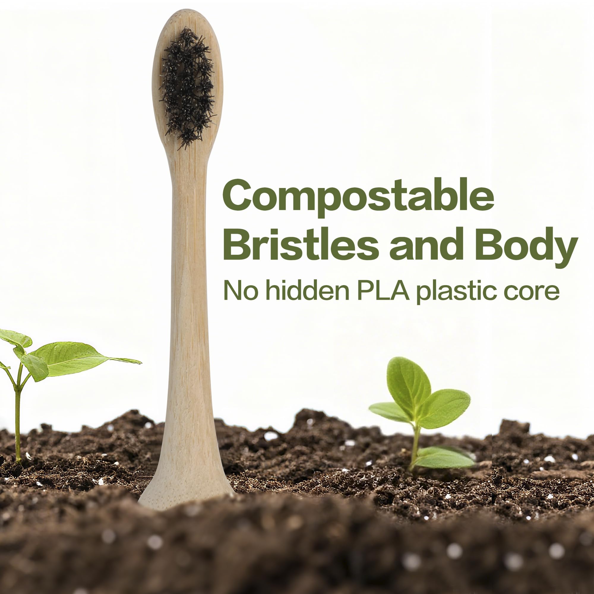 Soft horsehair bristles on a polished bamboo replacement head
