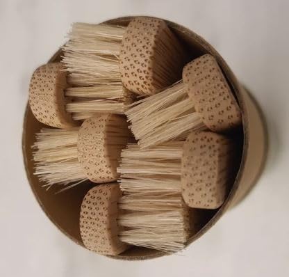 Eco-friendly paper packaging tube for Gaia Guy toothbrush