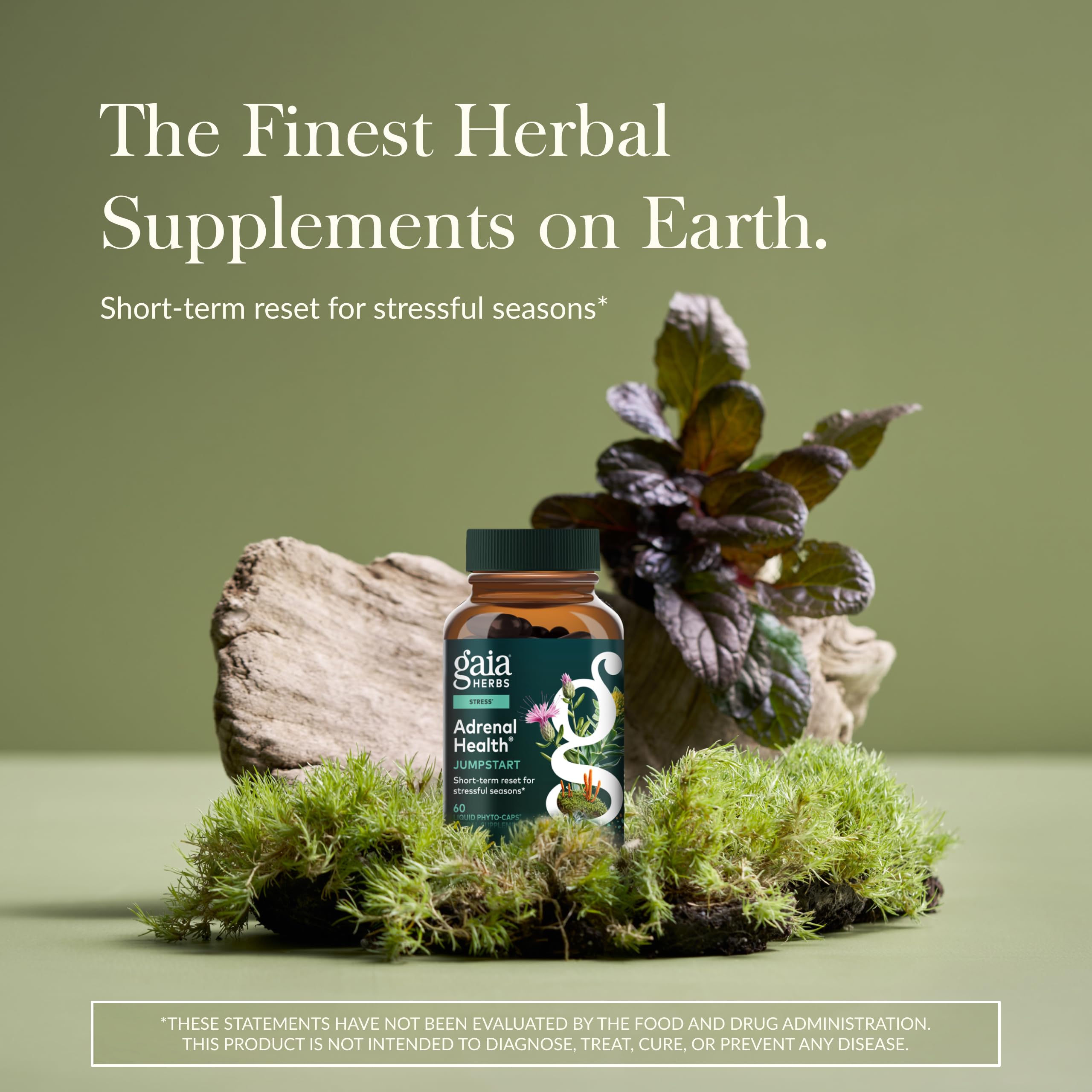 Close-up of Gaia Herbs Adrenal Health Jump Start capsules