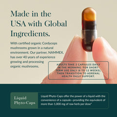 Cordyceps, Schisandra, Rhodiola, and Licorice blend