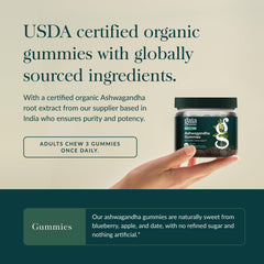 Gummies sweetened with real fruit flavors