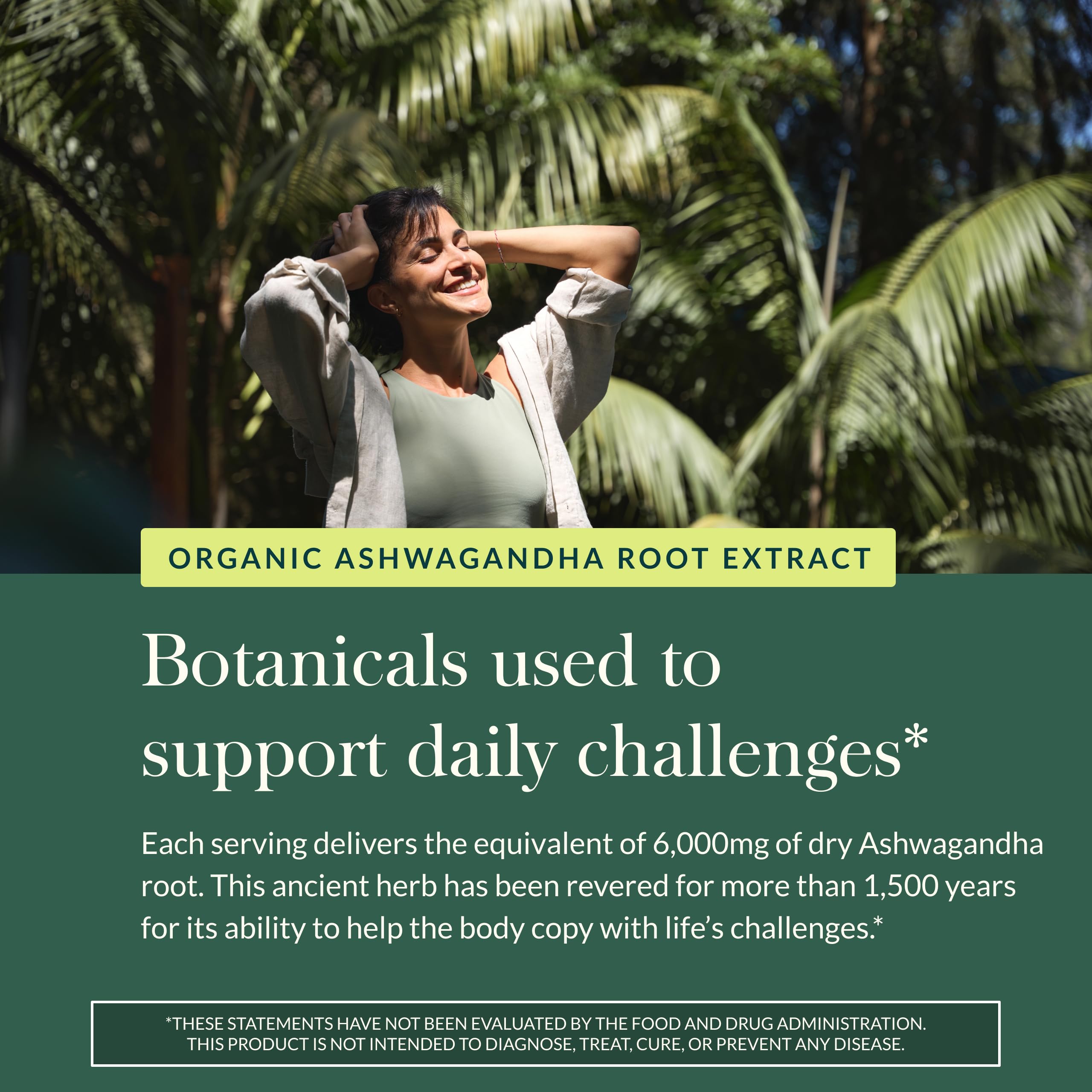 Organic ashwagandha root plant photograph