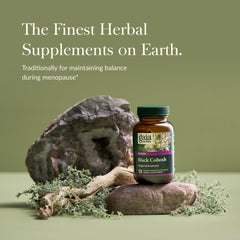 Close-up of Gaia Herbs Black Cohosh vegan capsules
