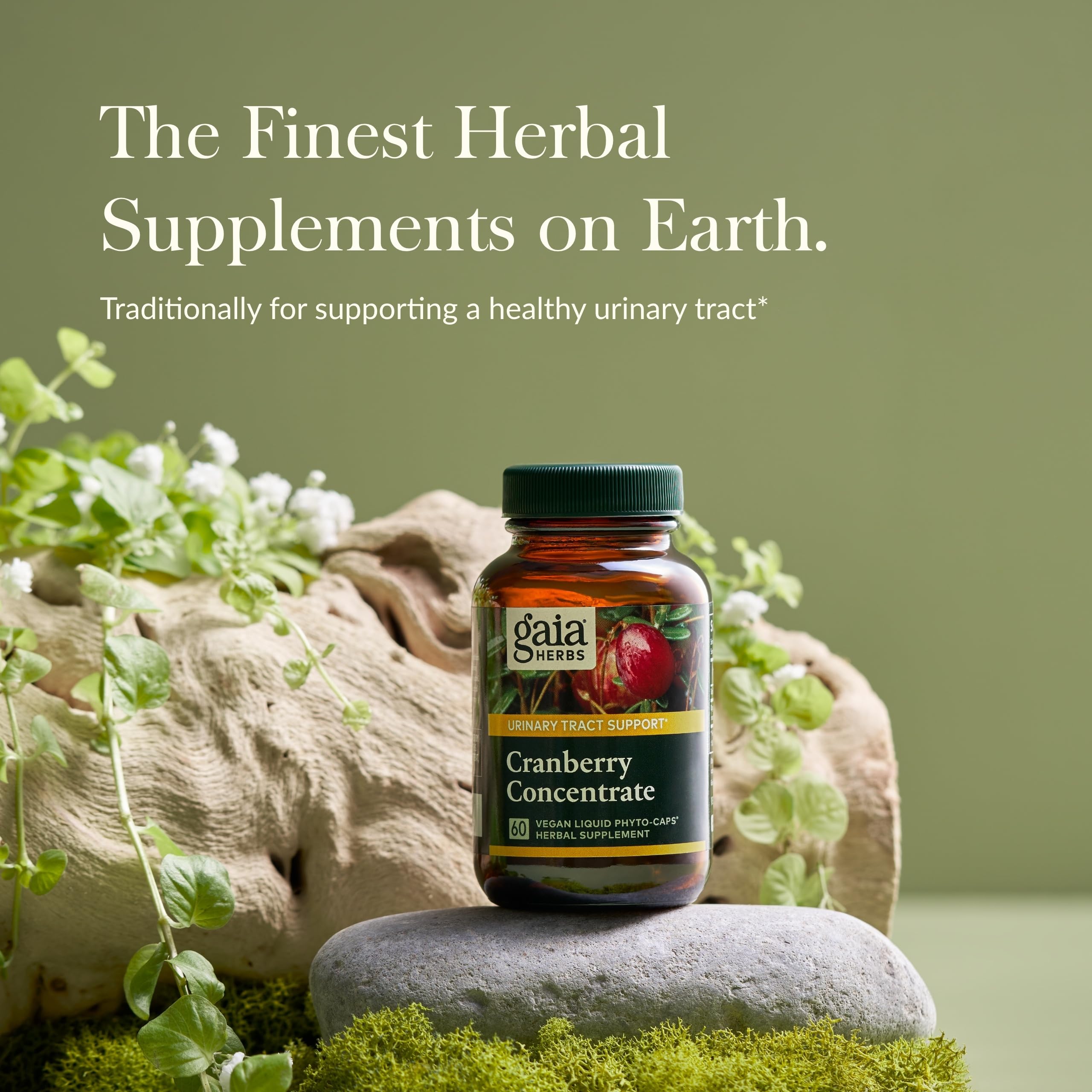 Cranberry Concentrate capsules product image