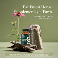 Close-up of Gaia Herbs Echinacea Goldenseal bottle